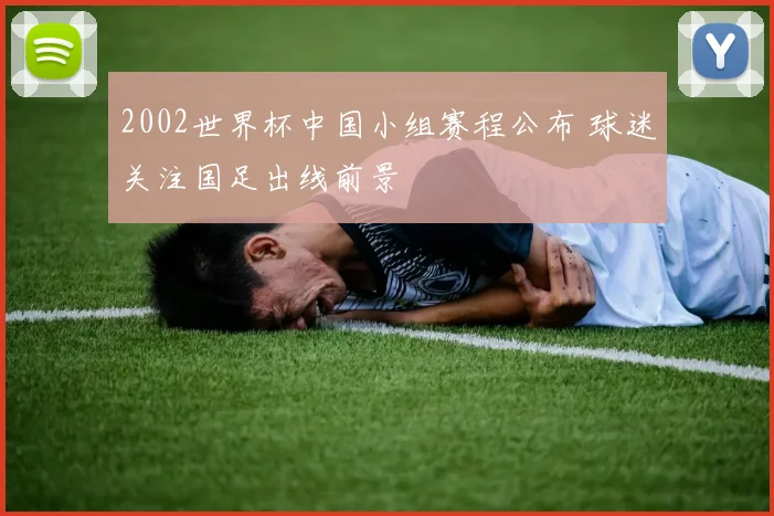 2002世界杯中国小组赛程公布 球迷关注国足出线前景