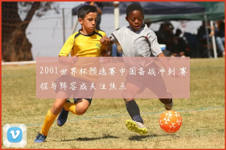 2001世界杯预选赛中国备战冲刺 赛程与阵容成关注焦点