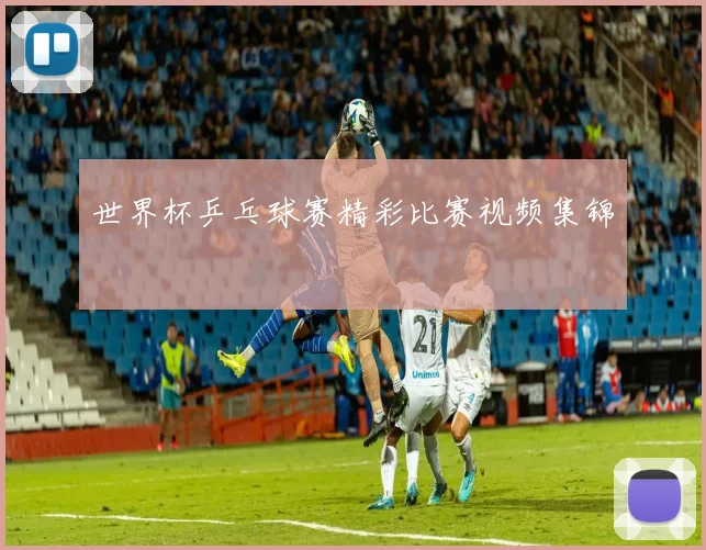 世界杯乒乓球赛精彩比赛视频集锦