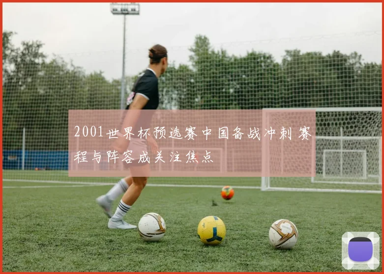 2001世界杯预选赛中国备战冲刺 赛程与阵容成关注焦点