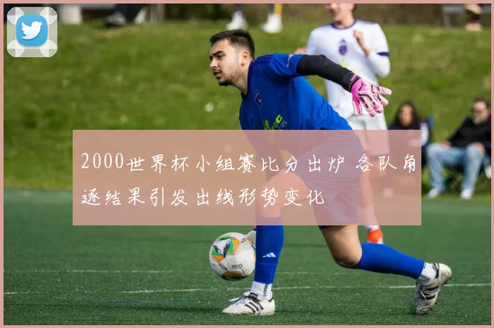 2000世界杯小组赛比分出炉 各队角逐结果引发出线形势变化